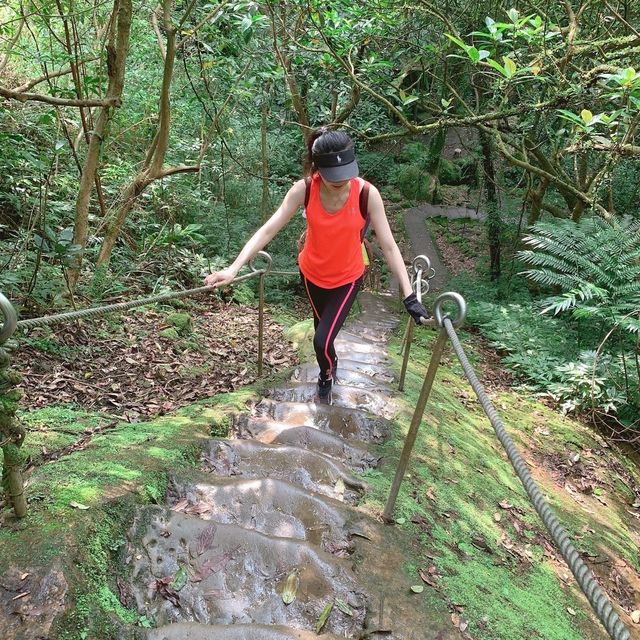 Xiaozishan Trail 孝子山步道🐾爬爬山呼吸新鮮空氣🌳新北平溪