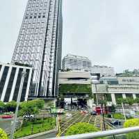 尖沙咀東海濱平台花園