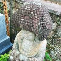 【京都】長い修行をされたアフロ大仏様