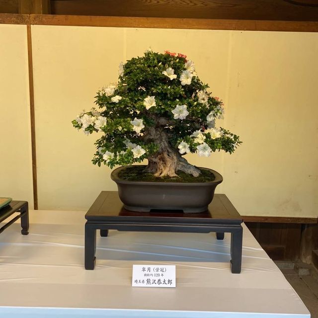 Công viên đền Meiji Jingu