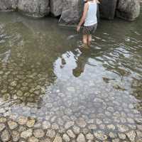 水遊びできる公園ならここ三ツ池公園