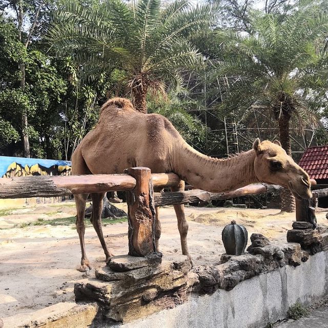 Animal Kingdom in Johor