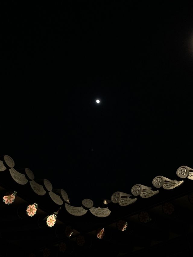 🌃밤에 더욱 빛나는 도심속 낭만 여행, 단돈 1000원에 즐기는 방법✨