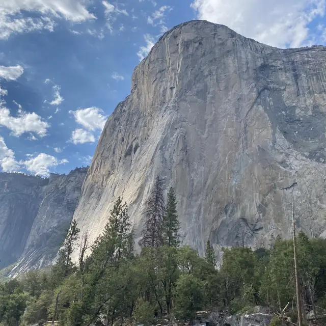 Yosemite国立公園 アメリカ