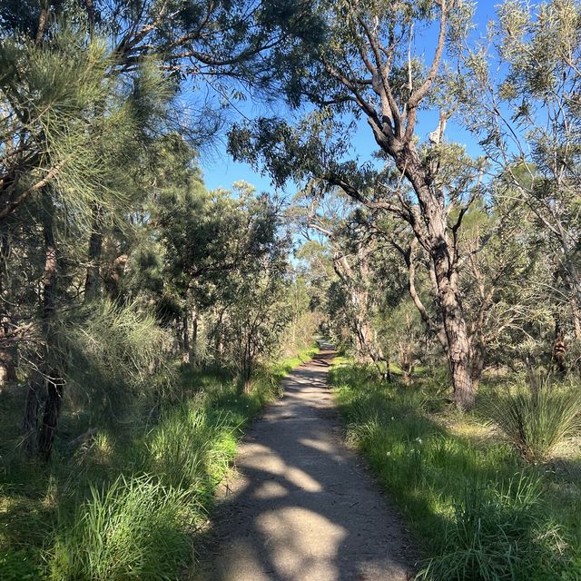 A quick hike in Perth? Say no more 🤩