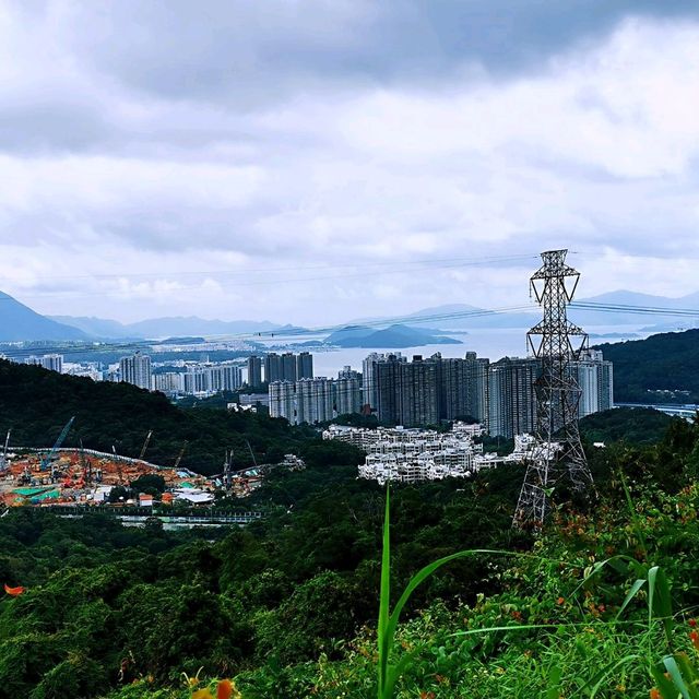 社山