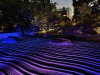 博多旧市街ライトアップウォーク2022「千年煌夜」『承天寺（方丈・開山堂）』