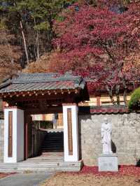 단풍 가득한 제천 여행