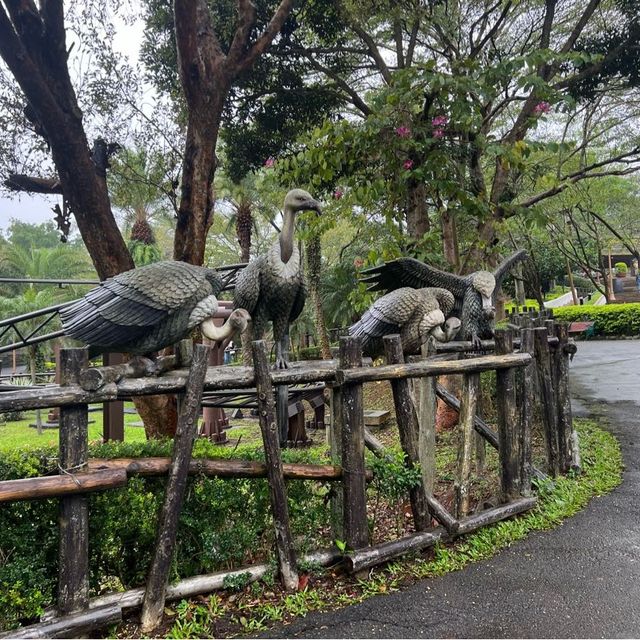 來去六福村玩一波 動物區超級好玩