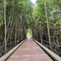 เส้นทางชมป่าโกงกางที่สวนสะพานหิน 