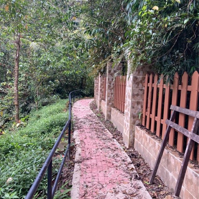 キャメロンハイランドの中心部から気軽に行けるハイキングコース　Taman Eko Rimba Parit Falls H