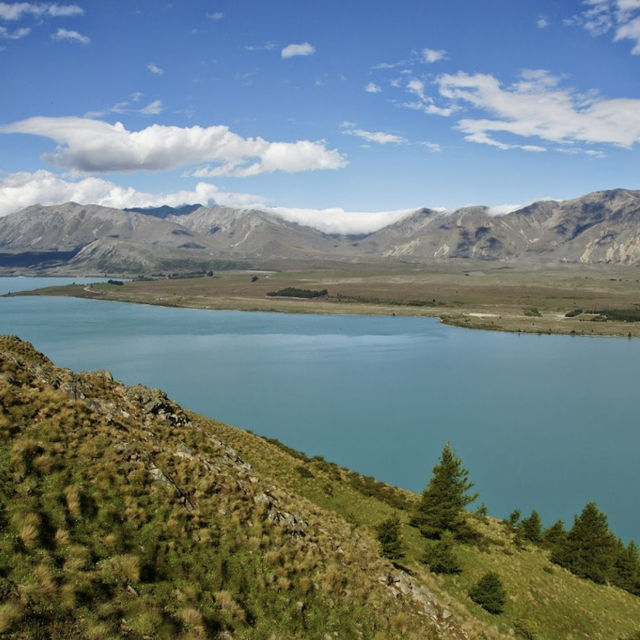 Lake Tekapo/