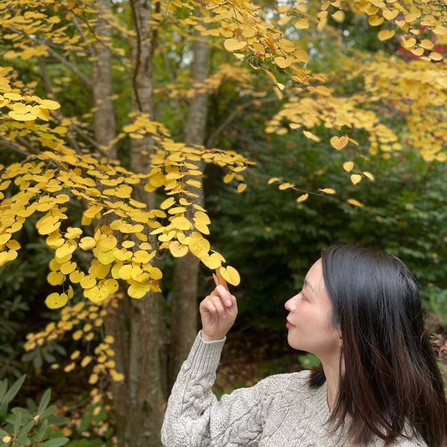 Kubota Garden in Seattle 