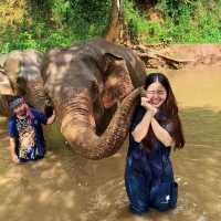 Walk camp ไร่อ้อมกอดภูเขา ไร่แห่งการแบ่งปัน