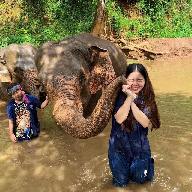 Walk camp ไร่อ้อมกอดภูเขา ไร่แห่งการแบ่งปัน