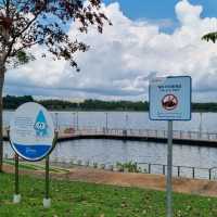 Just Chilling At Bedok Reservoir Park