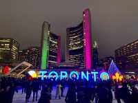 Awesome Lights Toronto Old City Hall at night