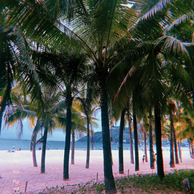 🏄🏾♀️ Houhai surfing adventures 🏄🏾♀️