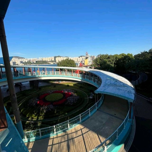 鰂魚涌公園+海濱長廊+寵物公園 鰂魚涌公園+海濱長廊+寵物公園