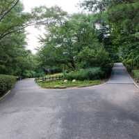 Great Calm Green Space 