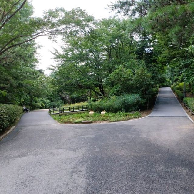 Great Calm Green Space 