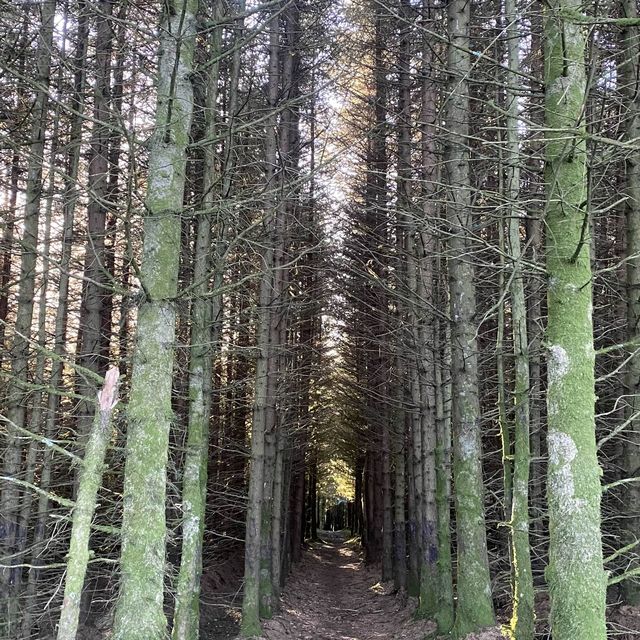 Three Lochs Way-Balloch to Helensburgh 