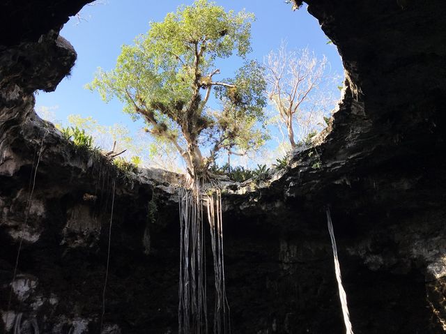 Merida Cenotes / Mexico 