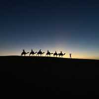 Sahara desert tour