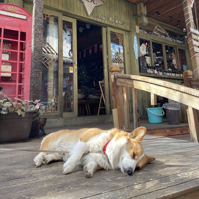 Lijiang’s Shuhe Ancient Town - Back in Time