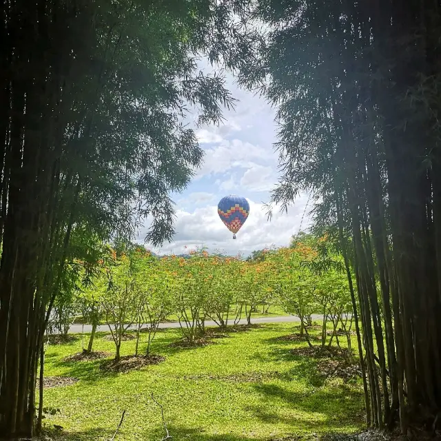 Awesome Natural Beauty at the Botanical Park