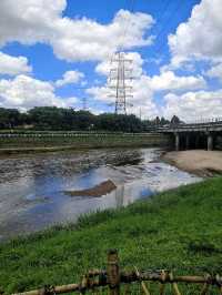 Nature walk along the Longhua river