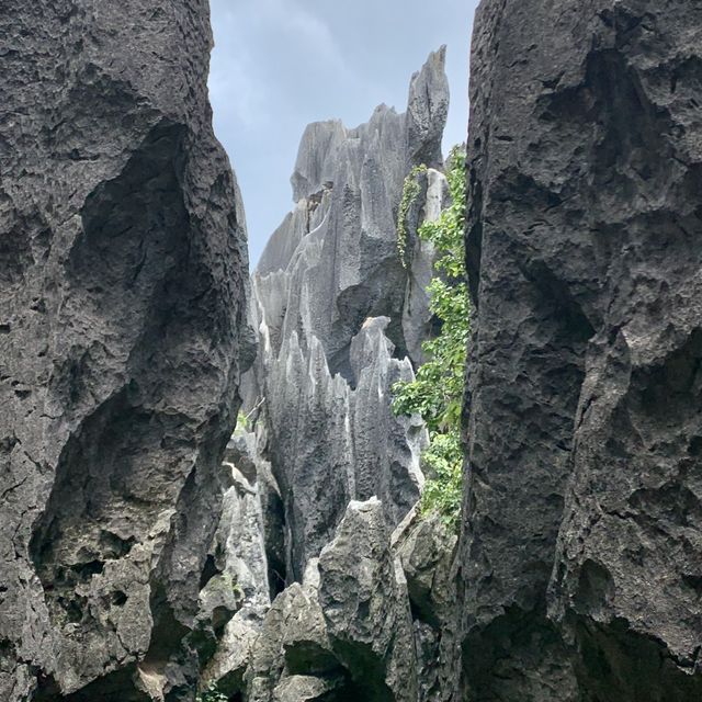 Shilin Stone Forest - Kunming, Yunnan