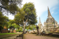 พระอารามหลวงแห่งเดียวในกรุงศรีอยุธยา