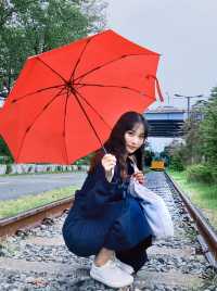 포항 철길숲 공원에서 운치있는 산책 데이트 ❣️❣️