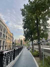 Suzhou Creek, Shanghai🌱🌿