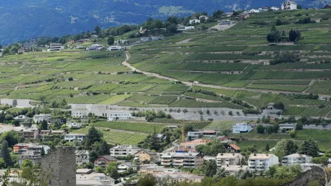 Sion, Switzerland, has the most important prehistoric site in Europe — traveler post in Sion