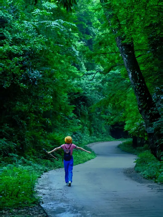 Chengdu 1H | Offbeat and Light Hiking 🌿 Super Cool and Easy on the Legs ‼️