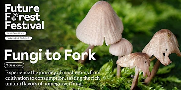 Future Forest Festival: Fungi to Fork | Vidacity