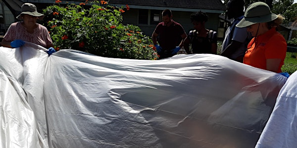 Improve Your Garden Soil Over the Summer:  Solarize or Cover Crop It | 1032 Superior St