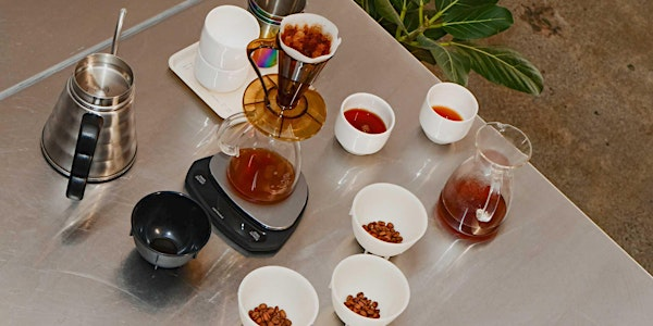 in-season specialty coffee tasting | Coffee Roastery Modus