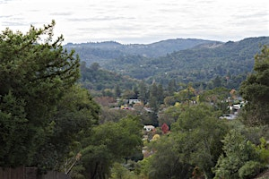 Awesome Scavenger Hunt - Creekside Capers: A Scavenger Hunt in San Anselmo | 777 San Anselmo Ave
