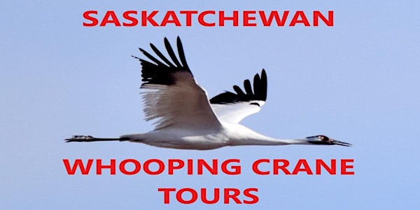 Whooping Crane Viewing Public Tour | Flying J Travel Center