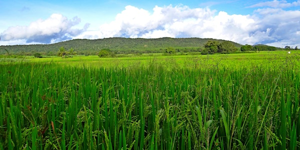 Fighting Climate Change: an introduction to Carbon Offsetting | William Elder Building