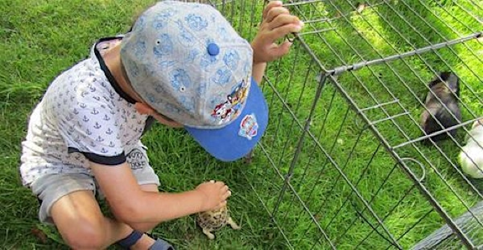 Schools Out Easter Holiday Club. For ages 5 - 12 | The Kingswood Trust