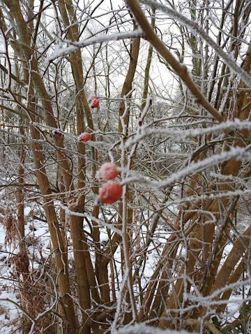 Winter Nurture - A Breathworks Mindfulness Inspired Self-care Day. | Leeds Buddhist Centre