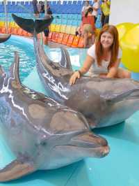  โชว์โลมาภูเก็ต 🐬