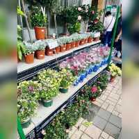 花香撲鼻