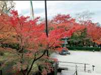 京都[紅葉めぐり]  永観堂(禅林寺)  圧巻の堂内編