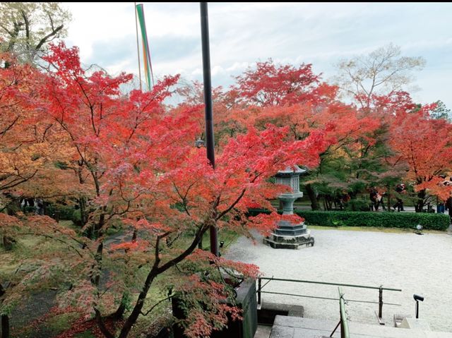 京都[紅葉めぐり]  永観堂(禅林寺)  圧巻の堂内編