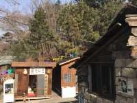 [경상북도 경주]사진찍으며 시간보내기 좋은 “추억의 달동네”